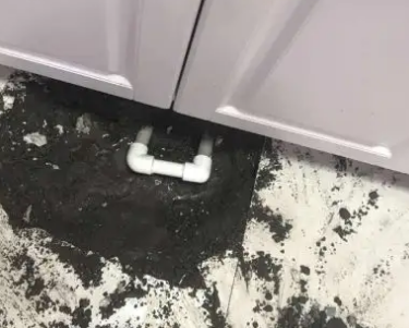 川汇查漏水哪家好